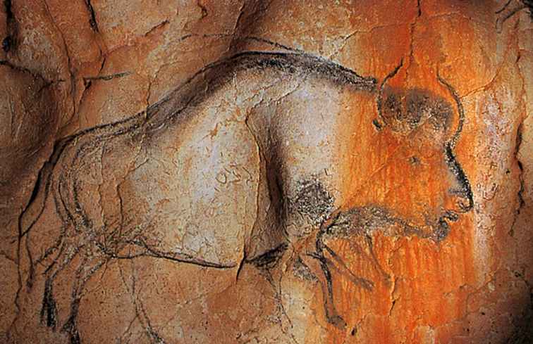 Hur man ser den förhistoriska konsten av Chauvet Cave / frankrike