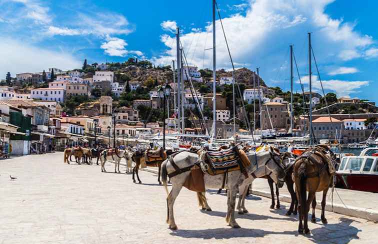 Hydra Island, en pärla av långsam bosatt i Greklands sarkoniska golf