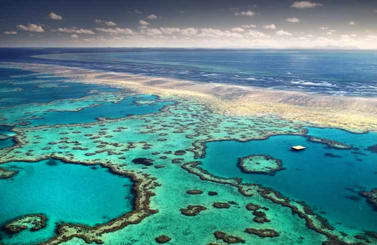 La meilleure plage du Queensland à Port Douglas ou les Whitsundays?