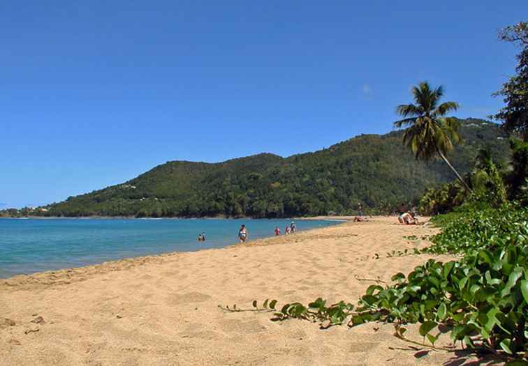 Les cinq îles de guadeloupe / La guadeloupe