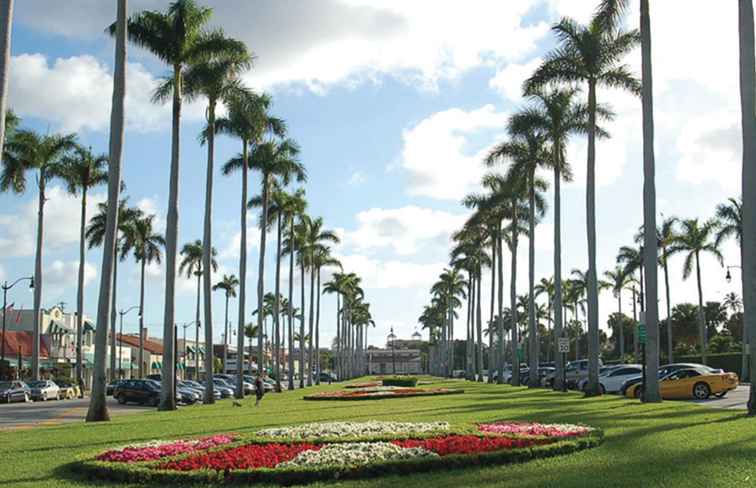 Palm Beaches Vacation Planning Guide / florida