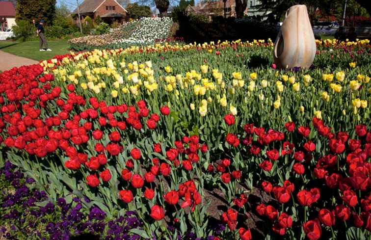 Los 4 mejores festivales de flores en Australia / Australia