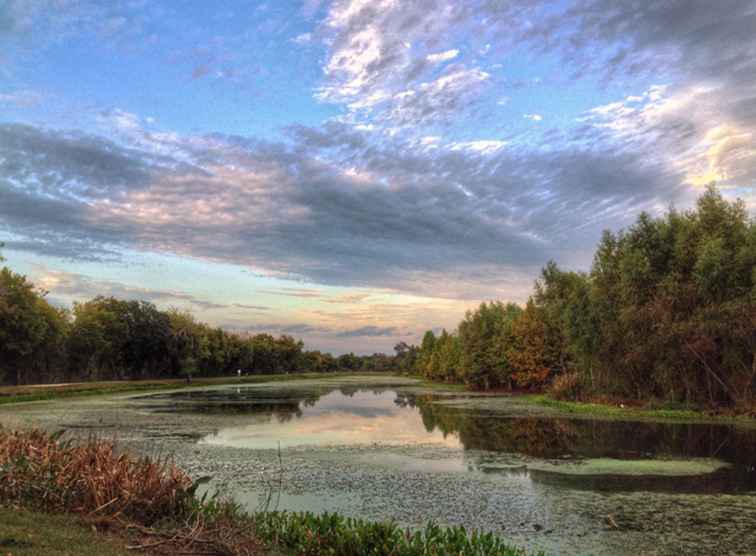 I migliori parchi statali del Texas da visitare in primavera / Texas