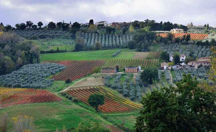 Umbrien sangrantino vinvägen / Italien