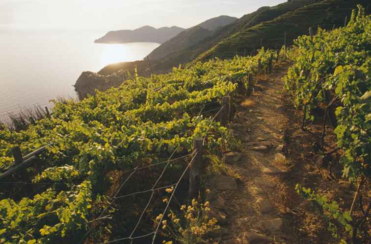 Promenader i Cinque Terre Trail System / Italien