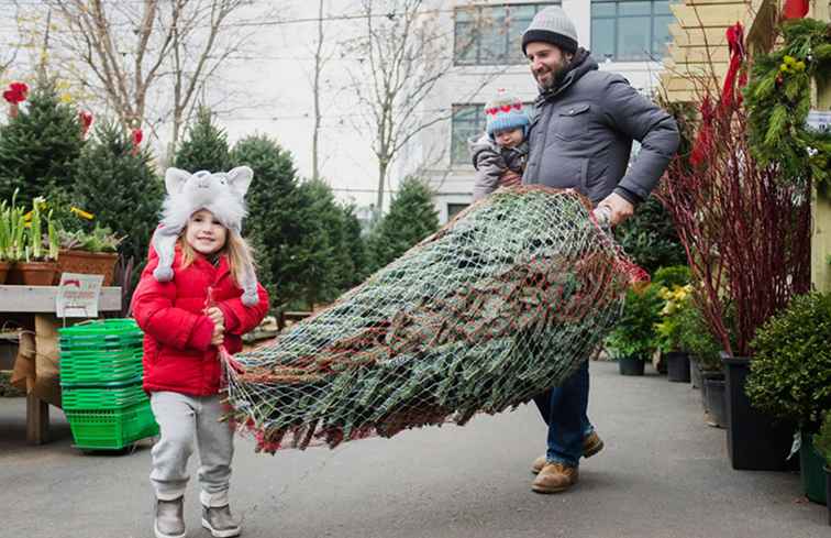 Waar je je eigen kerstboom kunt maken in de buurt van de Twin Cities / Minnesota