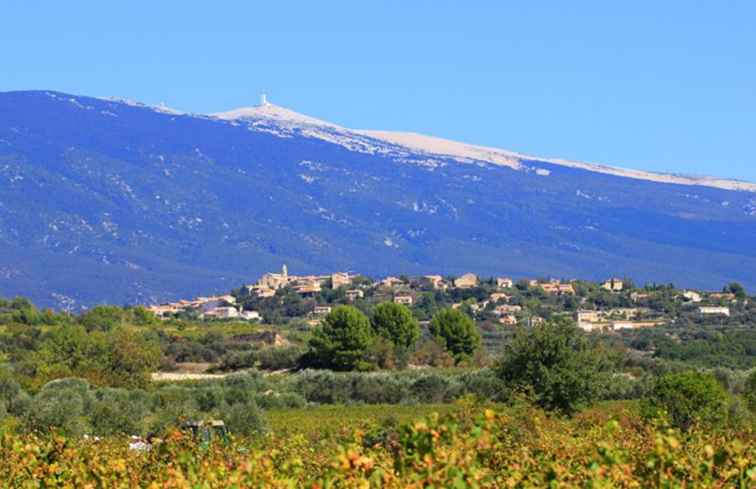 Pourquoi vous devriez visiter la Provence en 2016 / France