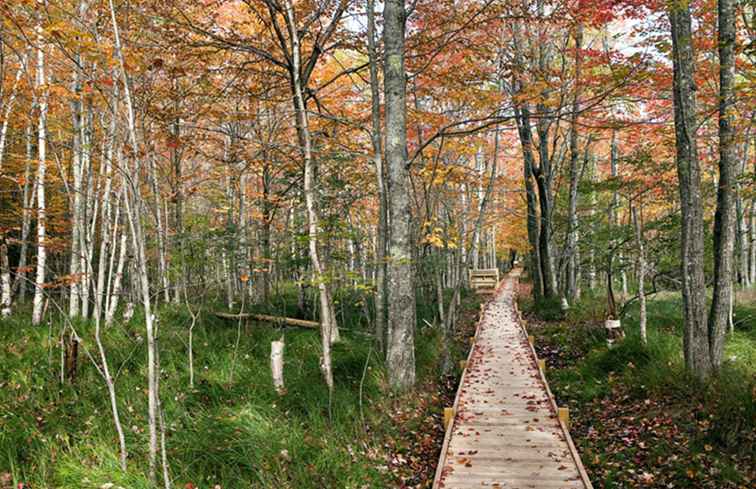 7 grandi destinazioni per il campeggio in autunno / 