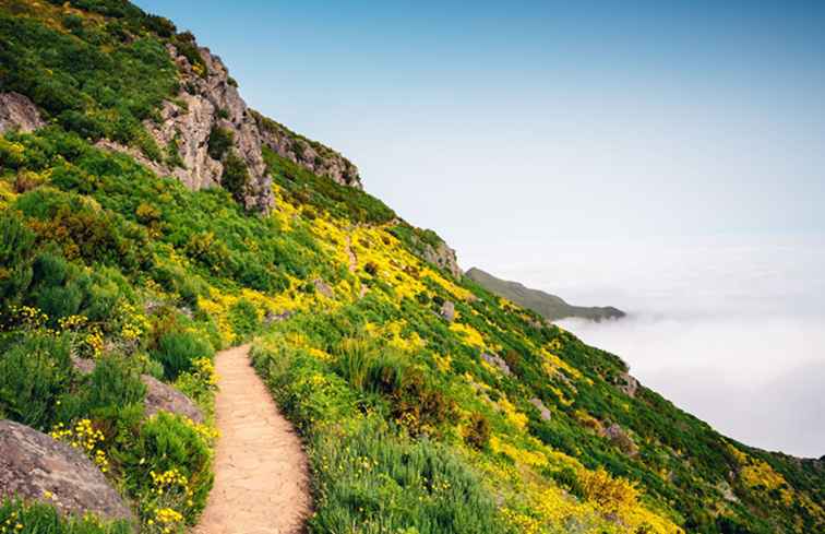 9 redenen om naar het eiland Madeira te gaan / Portugal