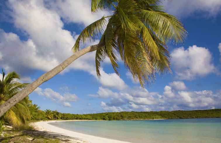 Una guía para las playas de Vieques / Puerto Rico