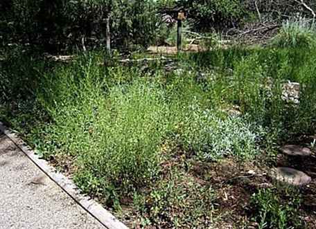 Albuquerque Earth Day Feiern / New-Mexiko