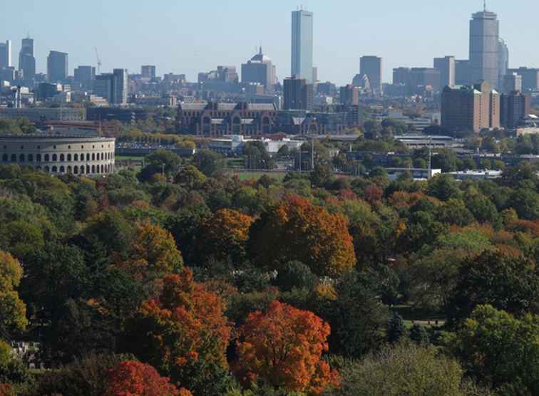 Cose incredibili che non conoscevi su Cambridge, MA / Massachusetts