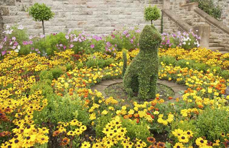 Belfast Castle Cat Garden / irland