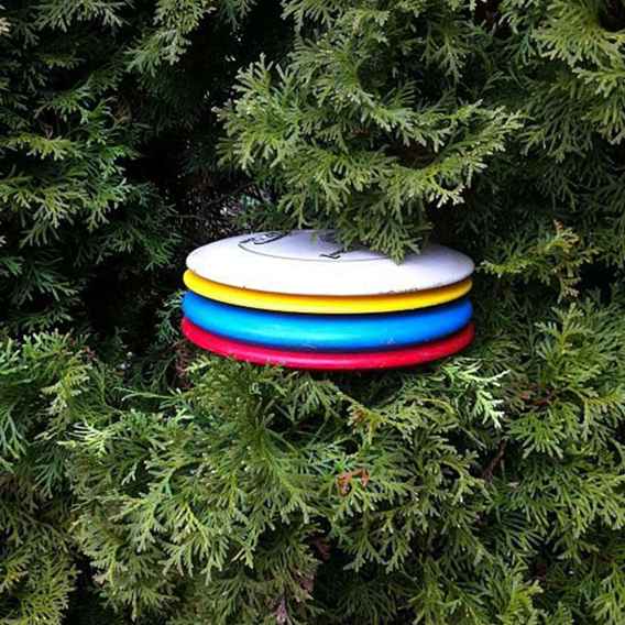 Beste Disc Golf Kurse und Ressourcen in und um Portland