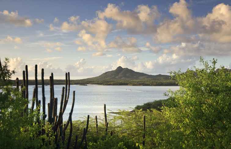 Bonaire, en naturälskares dröm