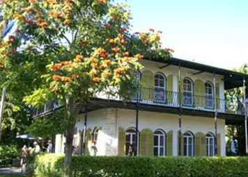 Katter Hemingway Hem och Museum i Key West, Florida / florida