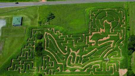 Corn Mazes in Maryland en Virginia / Maryland