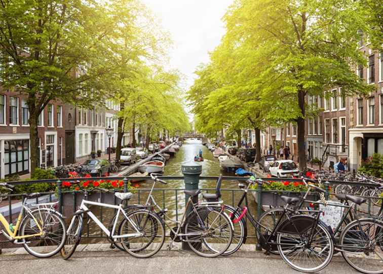 Behöver jag lära mig nederländska innan du besöker Amsterdam? / nederländerna