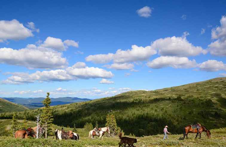 Verkennen van Canada's Yukon-territorium te paard / 