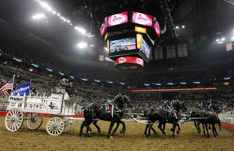 Februari Festivals en evenementen in Texas / Texas