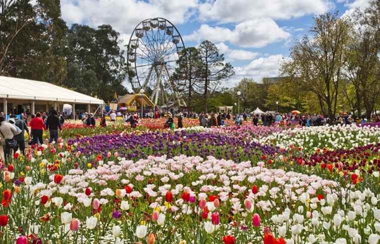 Floriade vs. Toowoomba Carnaval de las flores / Australia