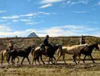 Aventures à cheval en Amérique du Sud / Amérique centrale et du sud