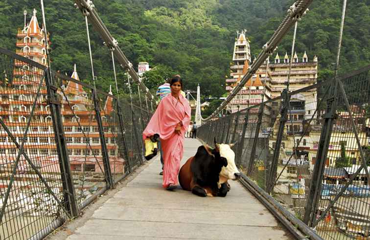 Comment se rendre de Haridwar à Rishikesh