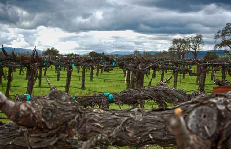 Comment visiter la vallée de Napa en hiver / Californie