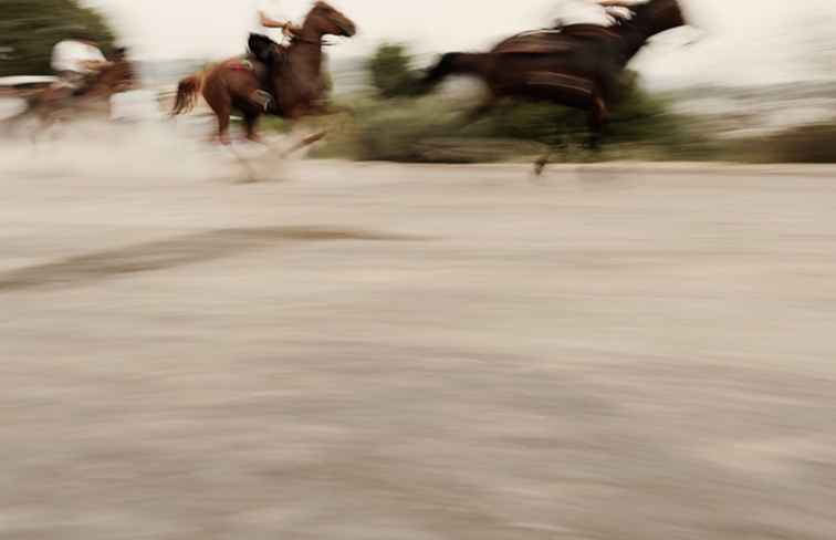 L'Ardia Ancient Horse Racing Festival op Sardinië / Italië