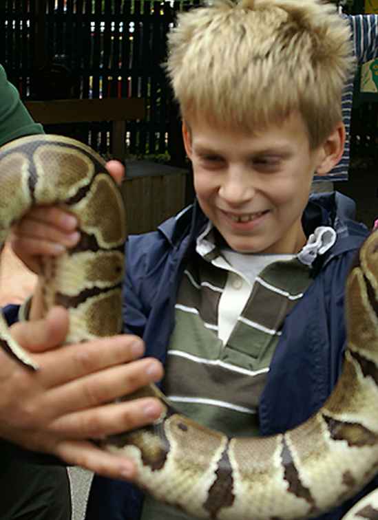 Longleat Safari Park Review - Une sortie pour les enfants / Angleterre