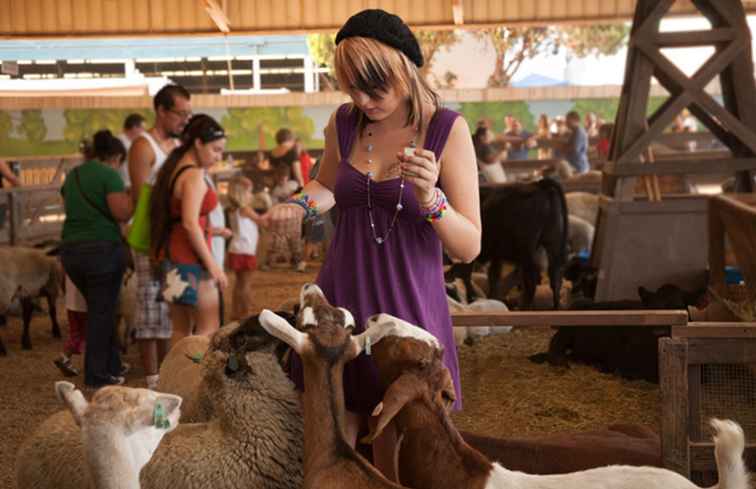 Los Angeles County Fair 2017 / Californie