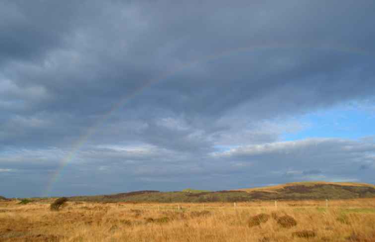 Manetende veenmols? 10 beste tips voor het oversteken van verraderlijke UK Bogs / Wales