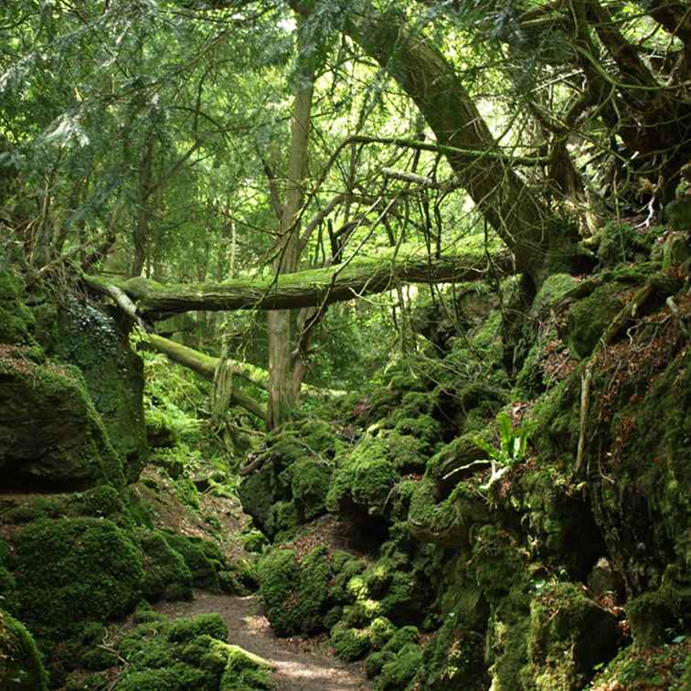 Planifique un recorrido por Gran Bretaña en el cine / Inglaterra