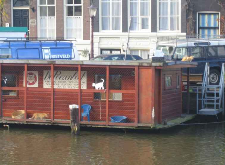 Poezenboot (Cat Boat) Un refugio para gatos en una casa flotante