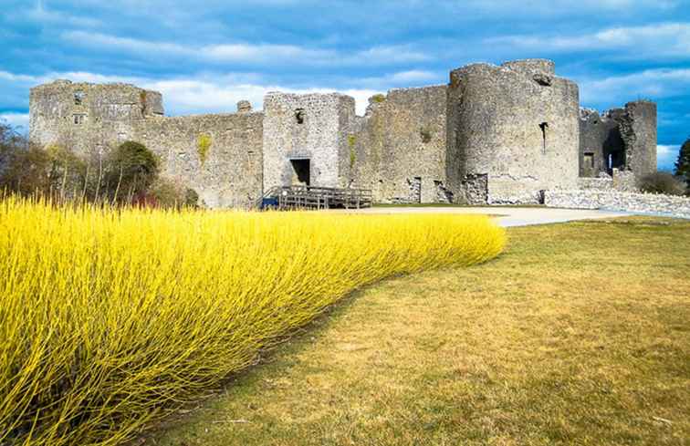 Roscommon Castle / irland