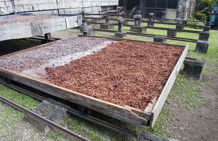 Saint Lucia La destinazione di lusso dei Caraibi per gli amanti del cioccolato / Santa Lucia