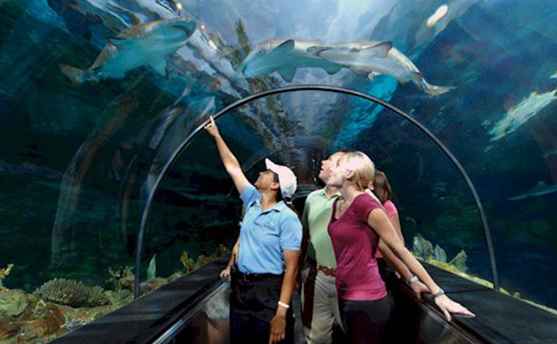 SeaWorld Orlando Vacation Planning Guide / Florida