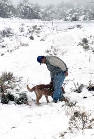 Neige dans et autour de Phoenix / Arizona