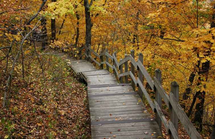 State Park Entrance Pass / 