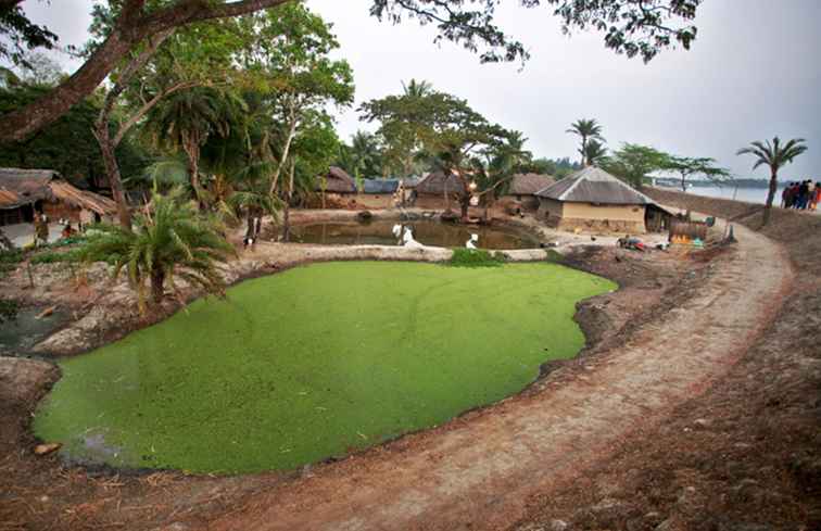 Guida di viaggio di Sundarbans National Park / 