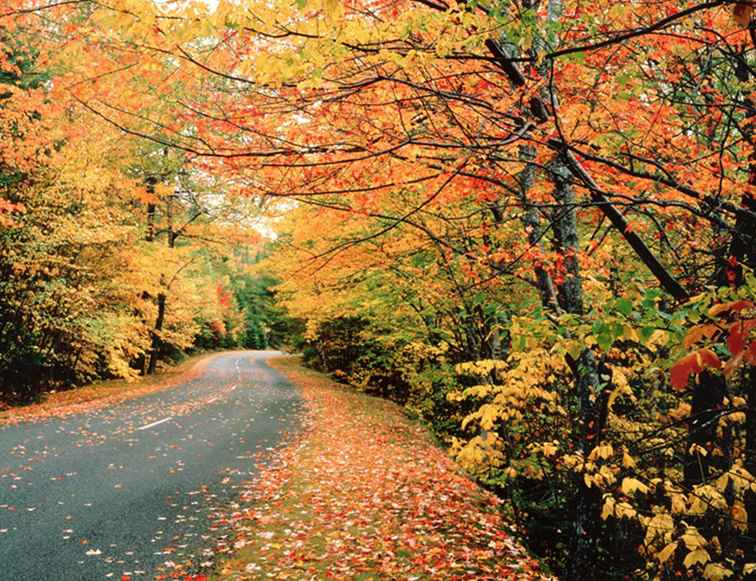 Die 10 beliebtesten Herbstlaub Reiseziele in New England / 