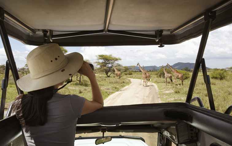 I migliori itinerari safari in Tanzania / Tanzania