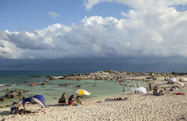 De bästa sakerna att göra i Cozumel / 