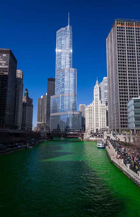Los 10 mejores desfiles en Chicago / Illinois