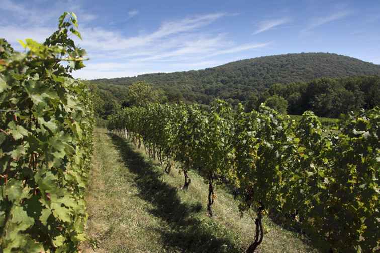 Virginia Wine Trails Winery Tours