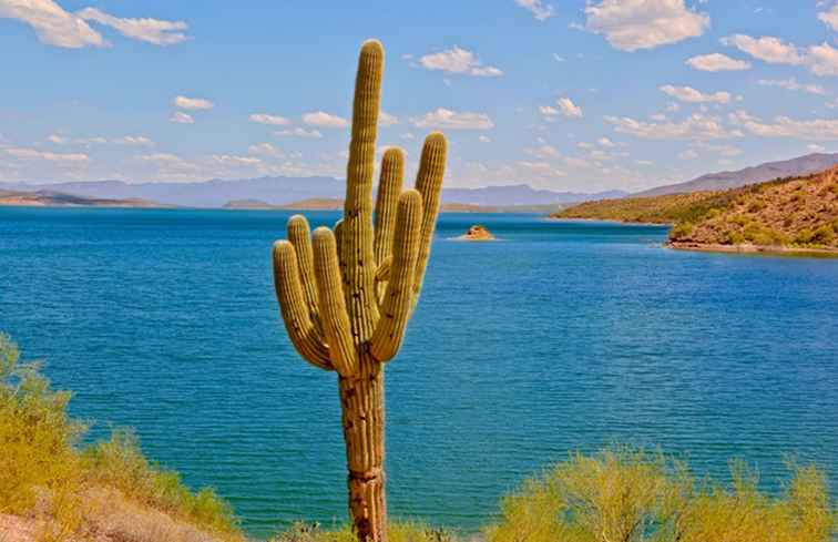 Visitez les loisirs du lac Saguaro près de Phoenix, en Arizona / Arizona