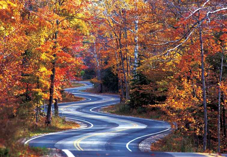 Dónde encontrar el follaje de otoño más impresionante de Wisconsin