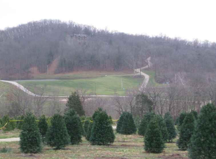 Wo man einen echten Weihnachtsbaum in der St. Louis Area erhält / Missouri
