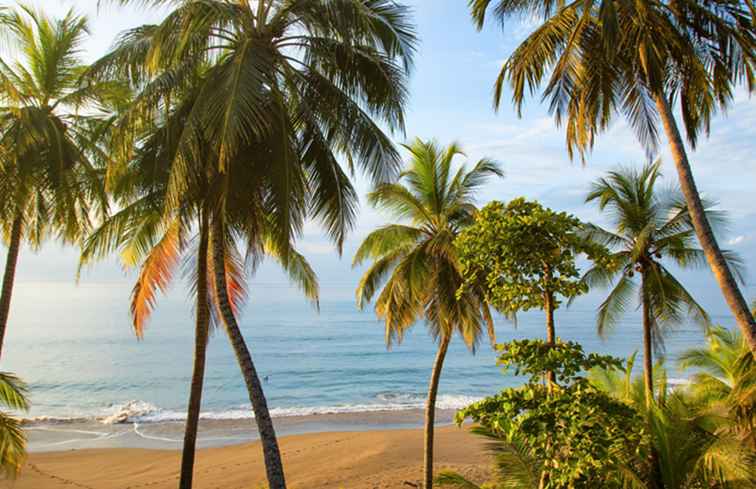 5 raisons d'aller dans la province de Guanacaste au Costa Rica / 