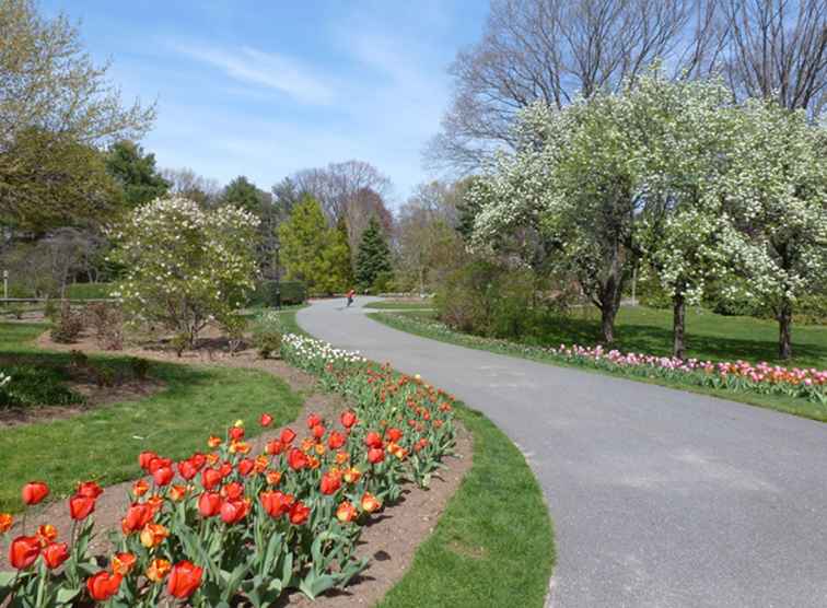 Vue d'ensemble du jardin botanique Clark / New York